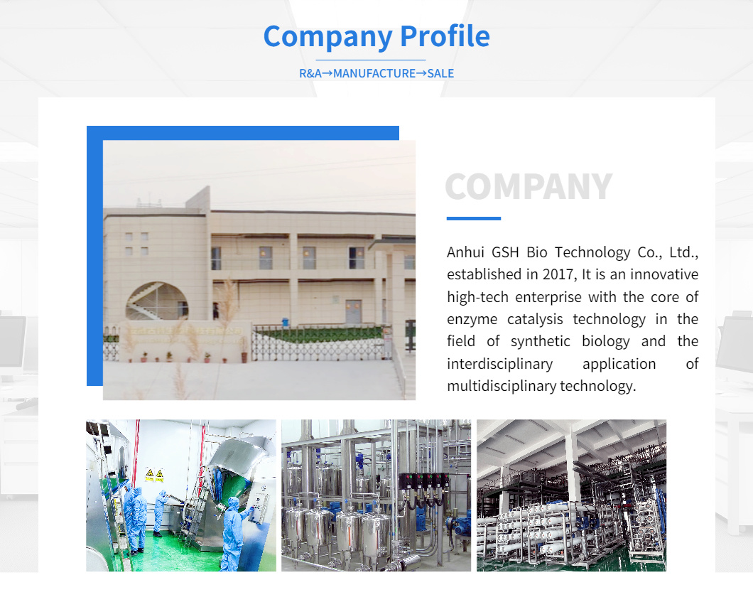 Company profile