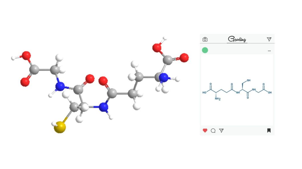 Glutathione Product fractional structure diagram