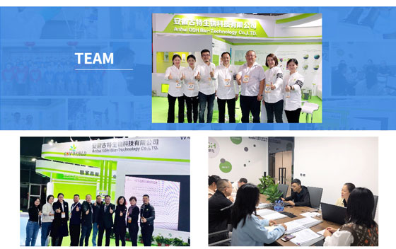 Company Profile and Team