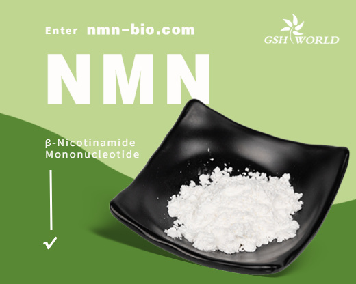 Anti-Aging Function β -Nicotinamide Mononucleotide 1094-61-7 From Factory
