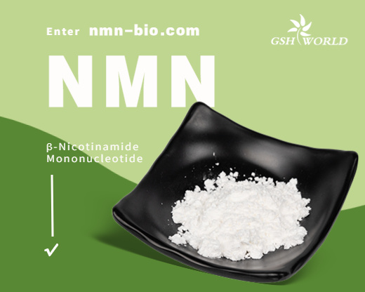Anti-Aging Function β -Nicotinamide Mononucleotide 1094-61-7 From Factory