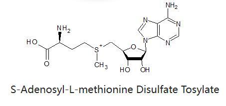 Sam-E Ademetionine Disulfate Tosylate Powder in Bulk CAS 97540-22-2