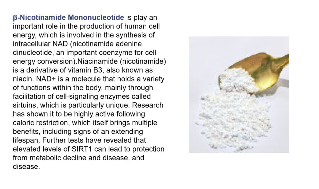 Nmn Powder Cosmetic/ Food Grade Raw Material Nicotinamide Mononucleotide 1094-61-7
