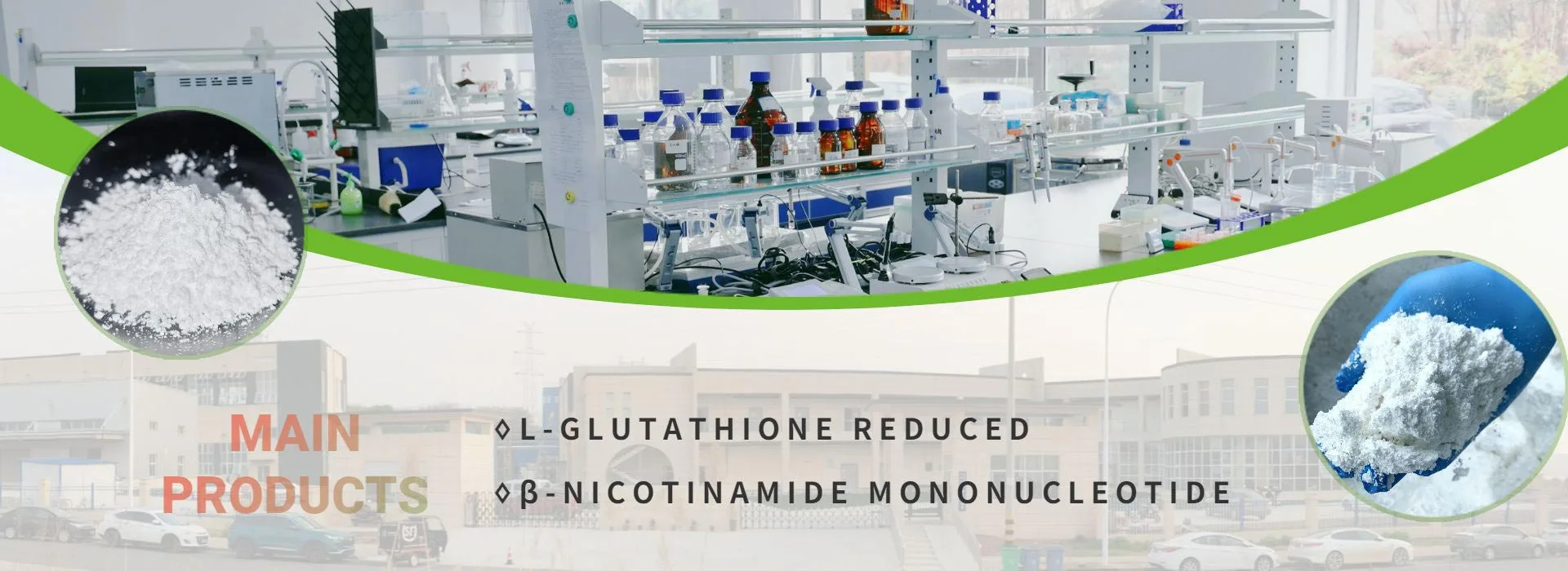 China GSHWorld Factory MAIN PRODUCTS: L-Glutathione Reduced(GSH), β-Nicotinamide Mononucleotide(NMN), Citicoline Sodium(CDPC)