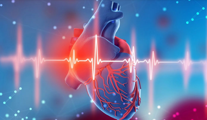 The Combination of Melatonin and NMN Protects the Aged Heart from Injury