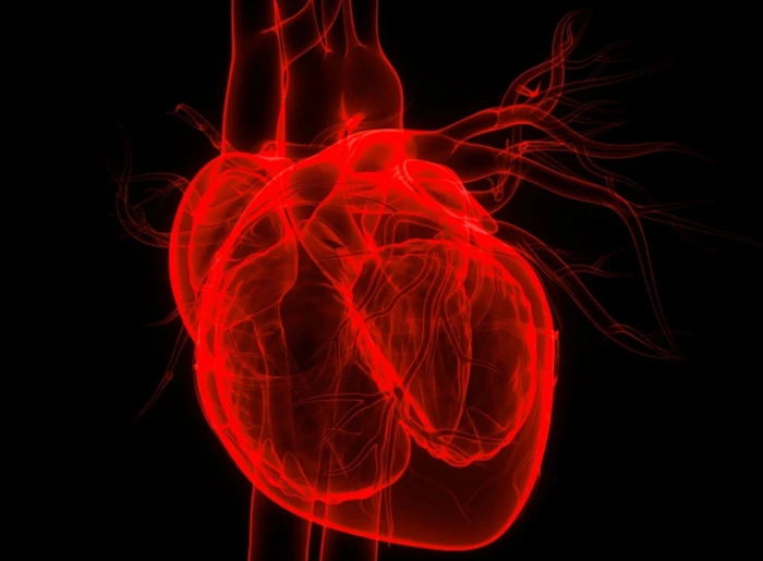 NMN Improves Mouse Heart Dysfunction Caused by Scarring