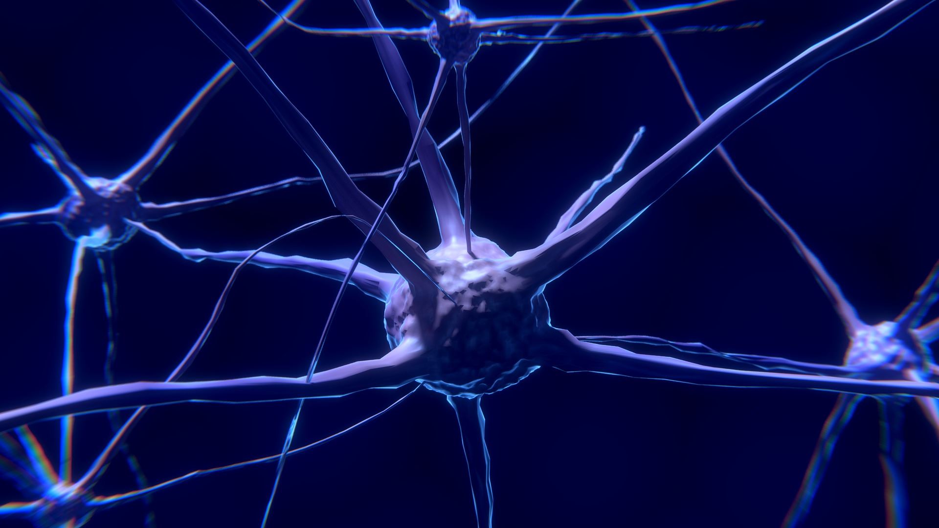 NMN has a positive effect in a collagenase-induced intracerebral hemorrhage model.