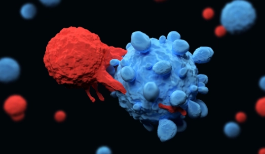 NMN Stimulates Efficacy of Cancer-Fighting Immune Cells