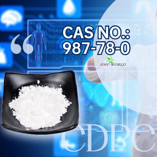 Exogenous citicoline can be used as an exogenous source of choline