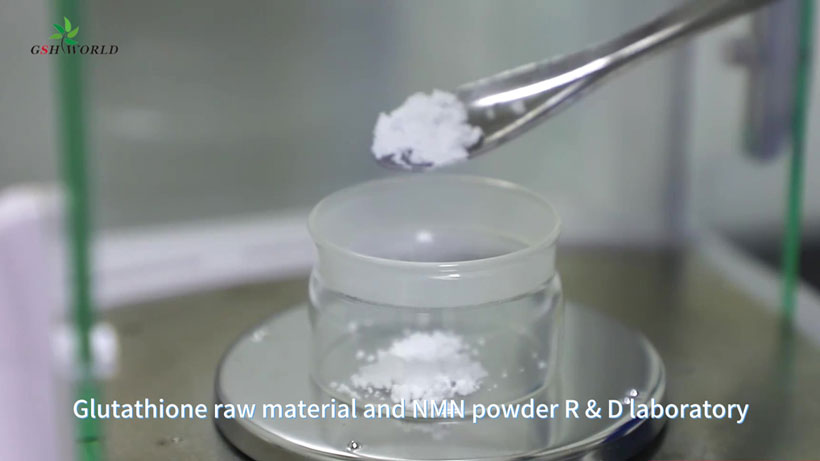 Glutathione raw material and NMN powder R & D laboratory