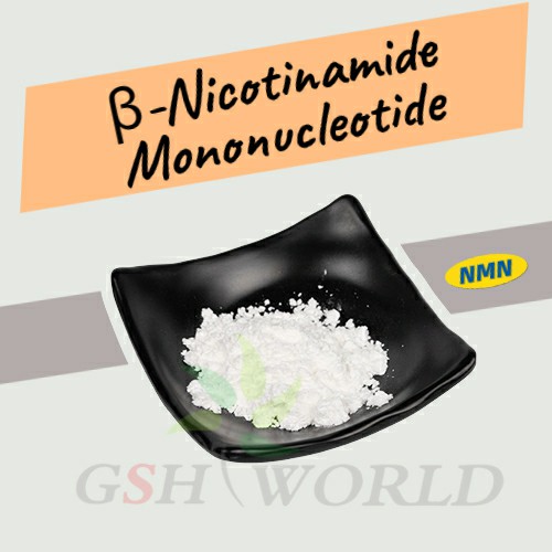 Anti Aging Nicotinamide Mononucleotide Nmn Powder Bulk CAS 1094-61-7