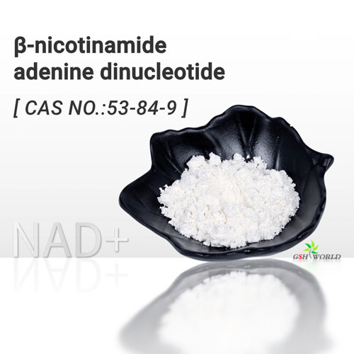 β-nicotinamide adenine dinucleotide NAD+ suppliers & manufacturers in China