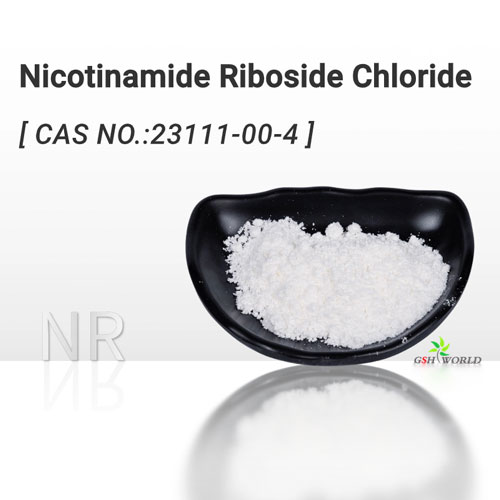 Nicotinamide Riboside Chloride NR bulk powder