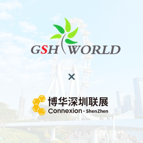 Connexion ShenZhen
