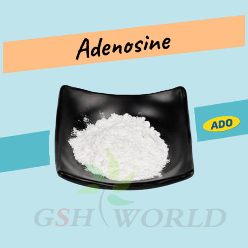 The effects of adenosine on the human body