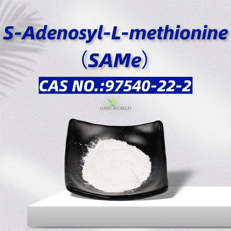 Various effects of S-adenosylmethionine