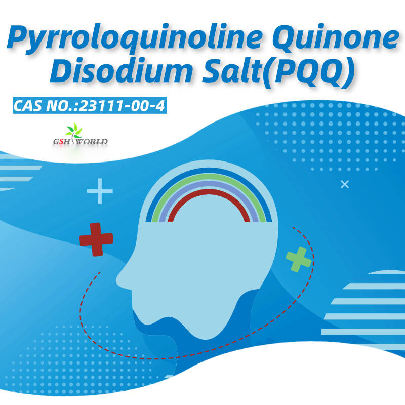 About pyrroloquinoline quinone PQQ