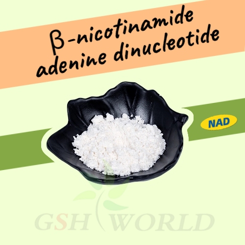 Why enhance NAD+? - GSHWorld suppliers & manufacturers in China