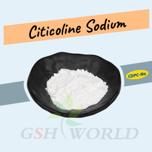 Does Citicoline Sodium Affect Memory?