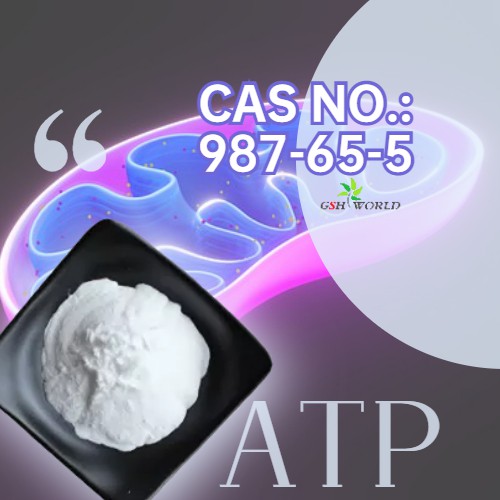 Food Grade Adenosine Disodium Triphosphate (ATP) Dietary Supplement