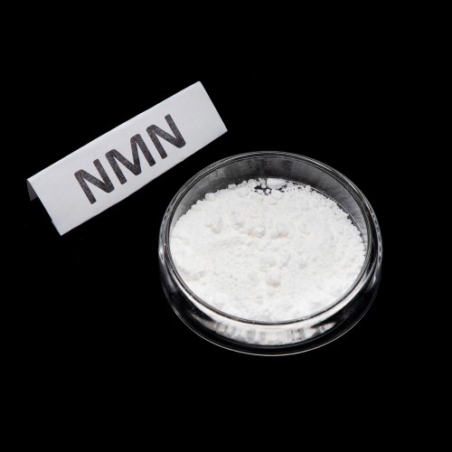 wholesale NMN Powder