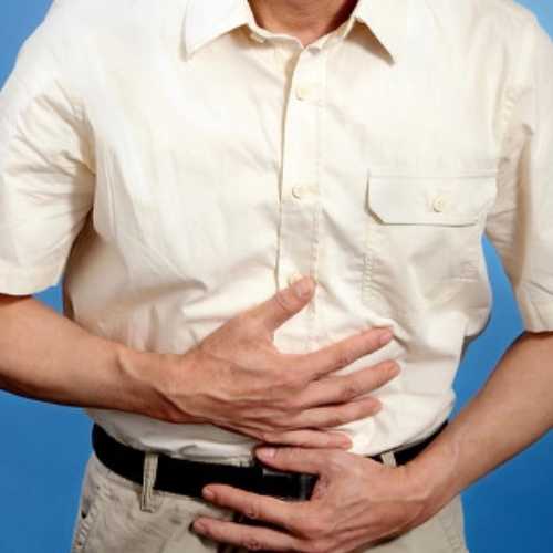 What ingredients are effective in maintaining intestinal health?
