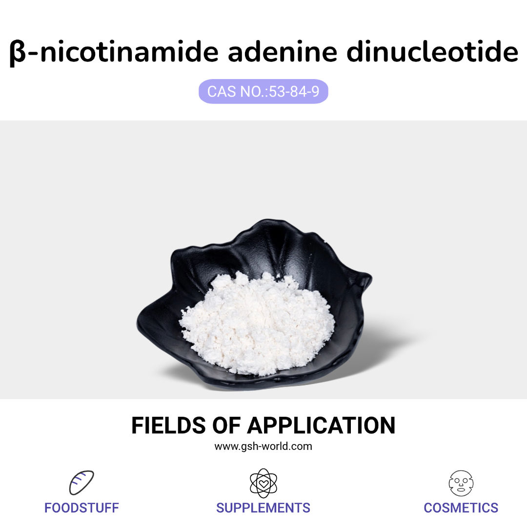 New progress in the study of nicotinamide adenine dinucleotide?