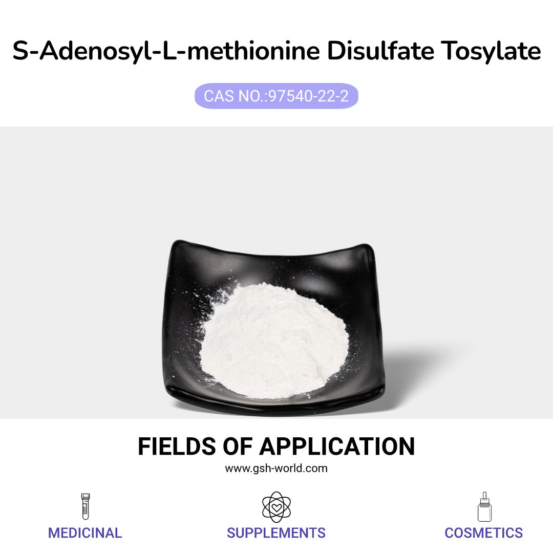 Effects of S-adenosylmethionine supplementation on neurological health