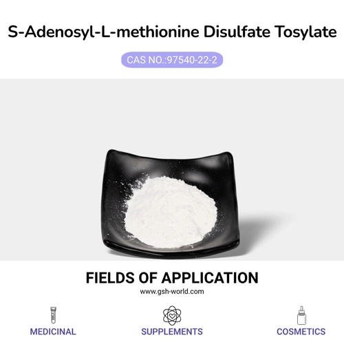 Protecting Joints: SAMe May Be of Help