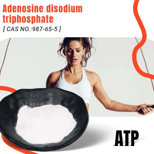 Bulk Adenosine disodium triphosphate Powder suppliers & manufacturers in China
