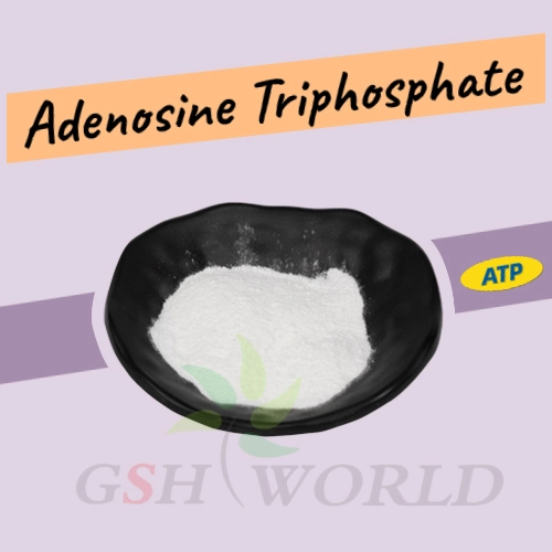 Bulk Adenosine disodium triphosphate Powder suppliers & manufacturers in China