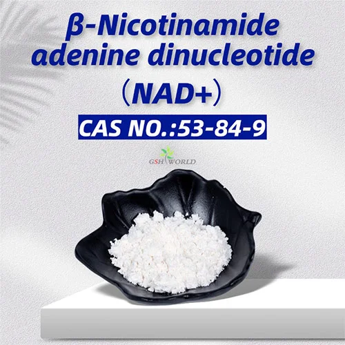 Bulk β-nicotinamide adenine dinucleotide NAD+ Powder suppliers & manufacturers in China