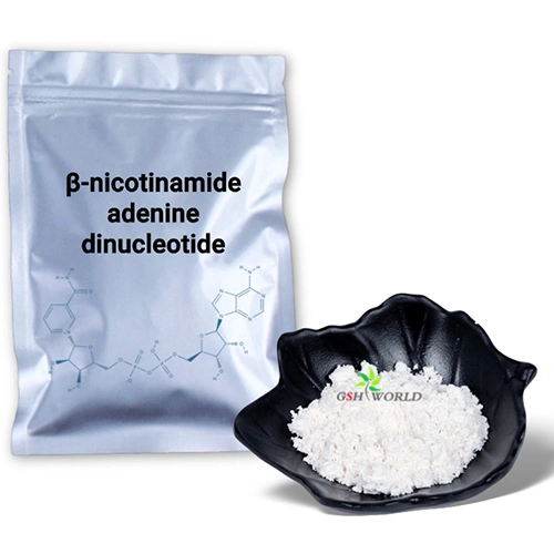 Bulk β-nicotinamide adenine dinucleotide NAD+ Powder suppliers & manufacturers in China