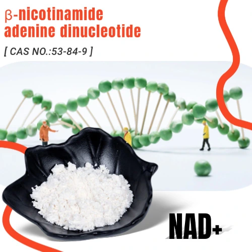 Bulk β-nicotinamide adenine dinucleotide NAD+ Powder suppliers & manufacturers in China