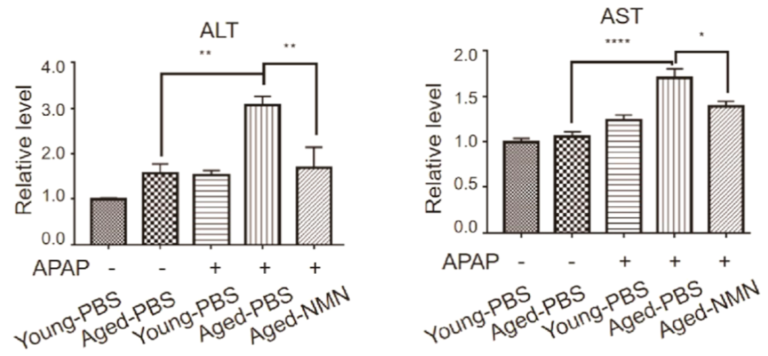 NMN Prevents Liver Damage.