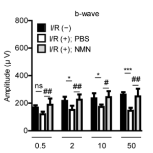 NMN preserves the retina’s electrical function