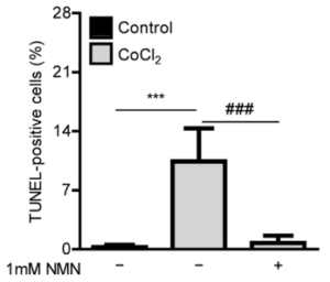 NMN rescues retinal cells from death in the face of oxidative stress