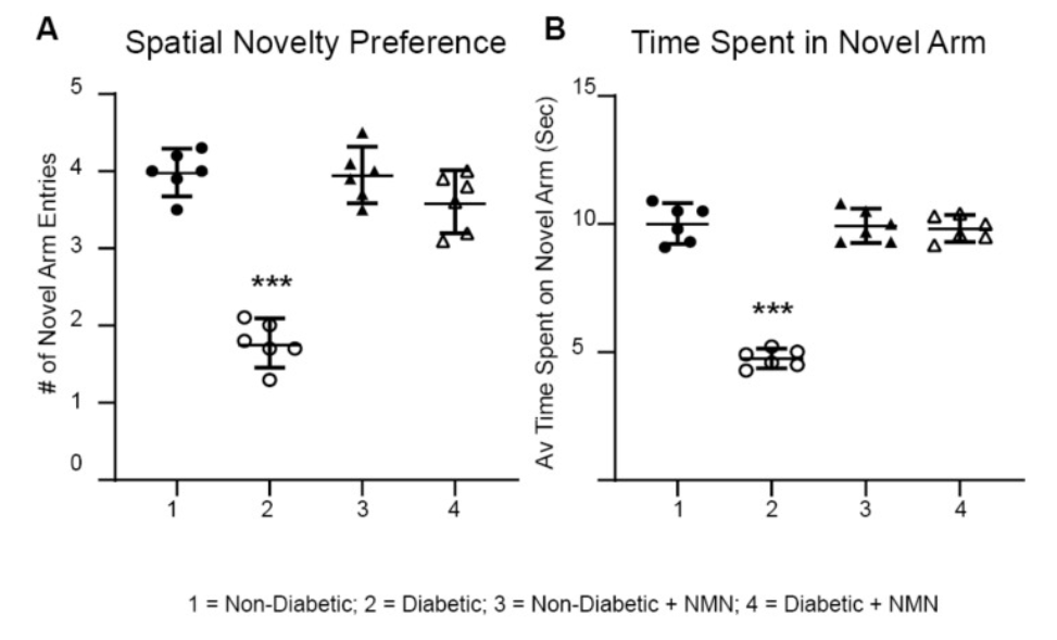 Impaired memory in diabetic rats was prevented by NMN treatment.