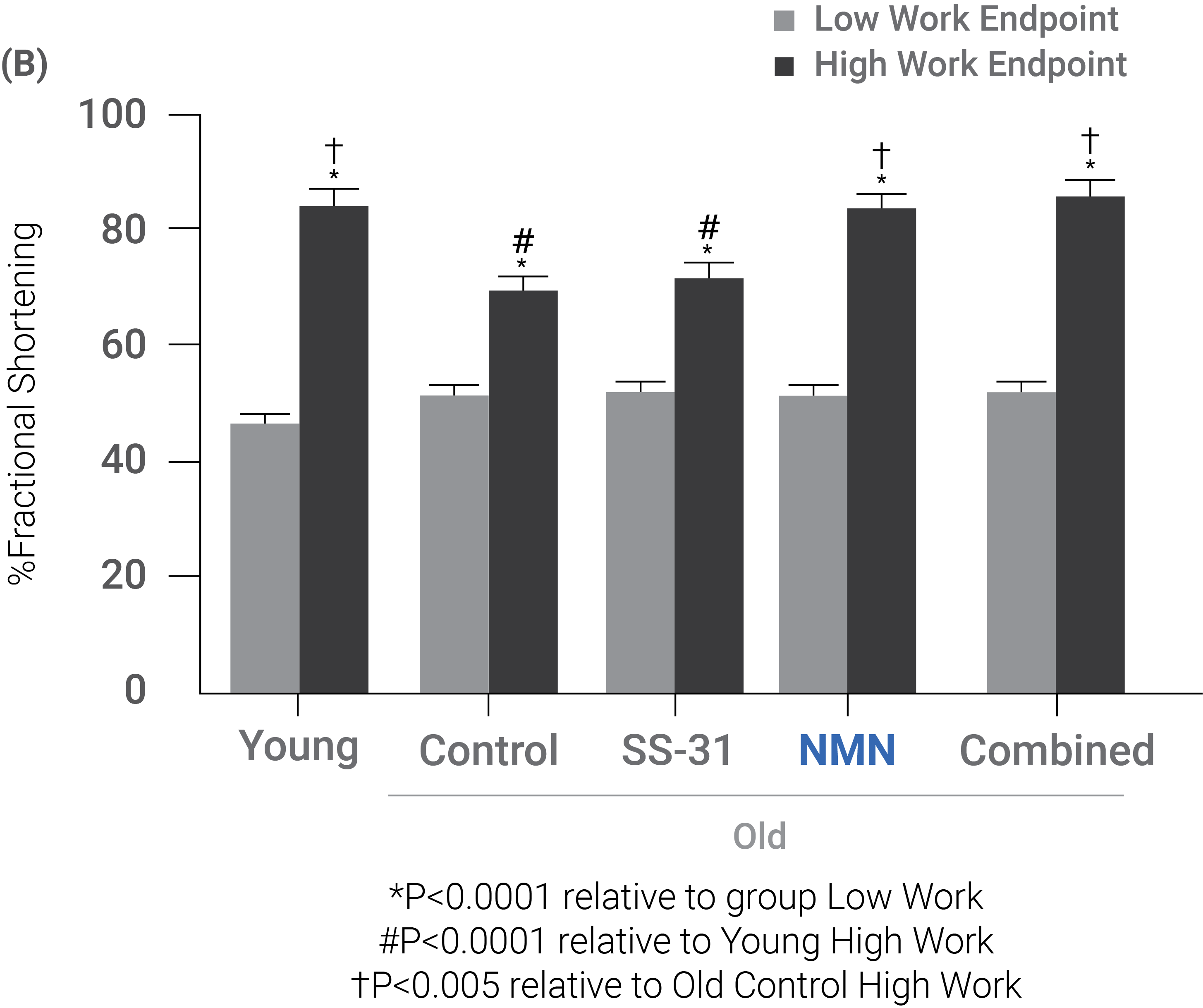 SS-31, NMN, or a combination of treatments restored the metabolic profile of heart in older mice.