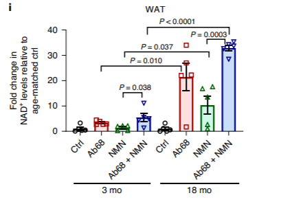 The CD38 inhibitor Ab68 enhanced the effects of NMN supplementation in boosting NAD+ levels in aged mice