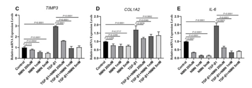 Genes that become activated during liver fibrosis had suppressed expression with NMN treatments