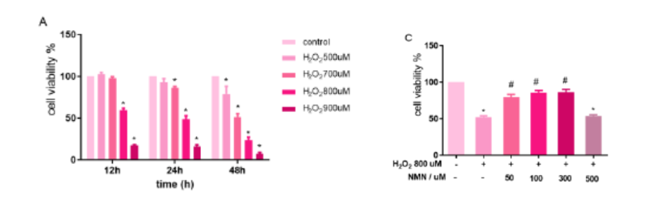 NMN treatment protects brain endothelial cells from harmful oxidative stress