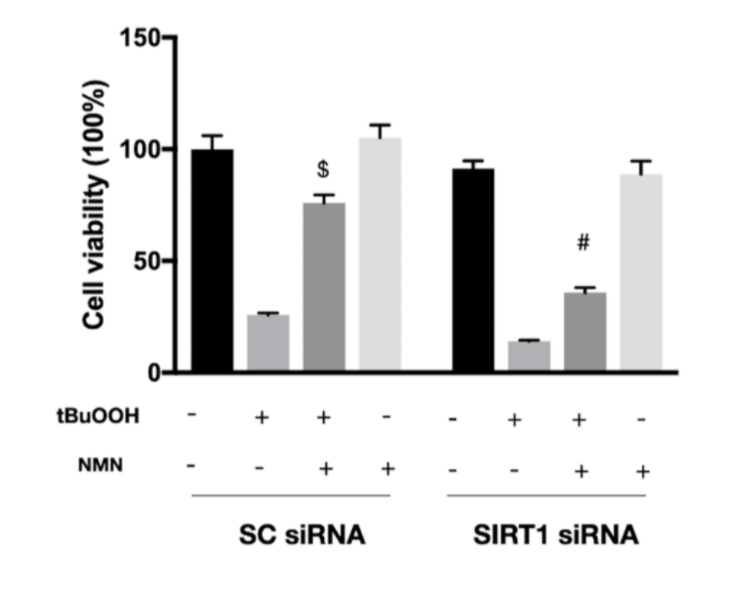 Eliminating SIRT1 diminished NMN&rsquo;s protective effects following oxidative stress