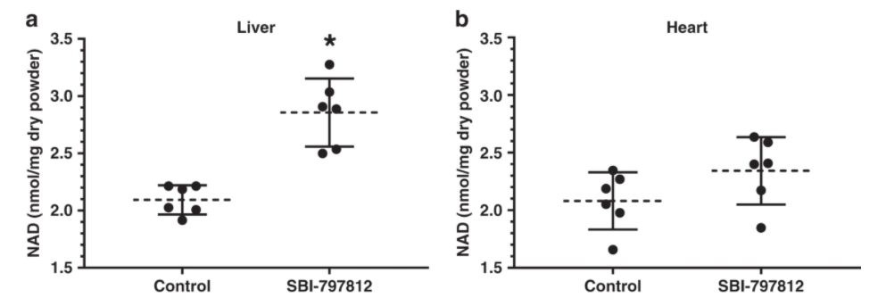 SBI-797812 increased NMN and NAD+ in human primary myotubes.