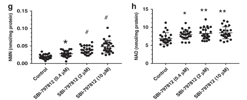 Effects of SBI-797812 on tissue NAD+ in mice.