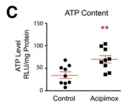 Acipimox has a direct effect on mitochondrial metabolism in human skeletal muscle.