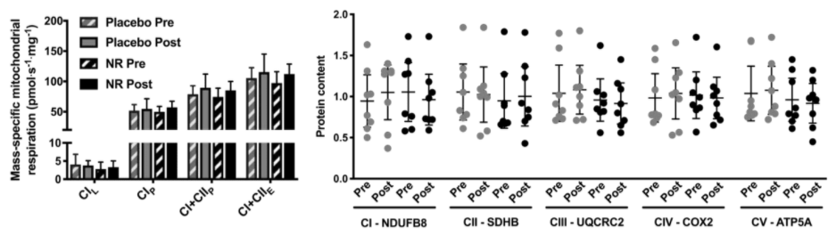 Seven days of NR supplementation does not improve mitochondrial function or induce mitochondrial biogenesis in human skeletal muscle.