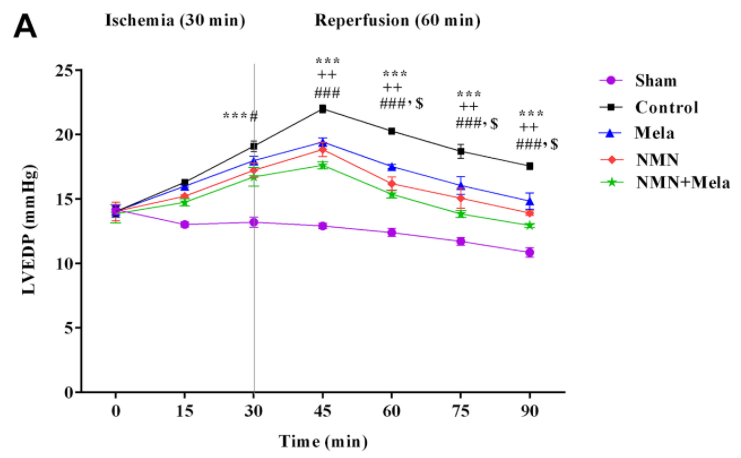 The combination of NMN and melatonin protects the heart function from ischemia-reperfusion injury.