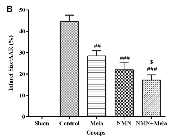 The combination of NMN and melatonin limits infarct size from ischemia-reperfusion injury.