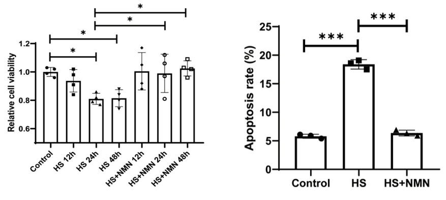 NMN treatment protects mouse eye cells from hyperosmolarity-induced cell death